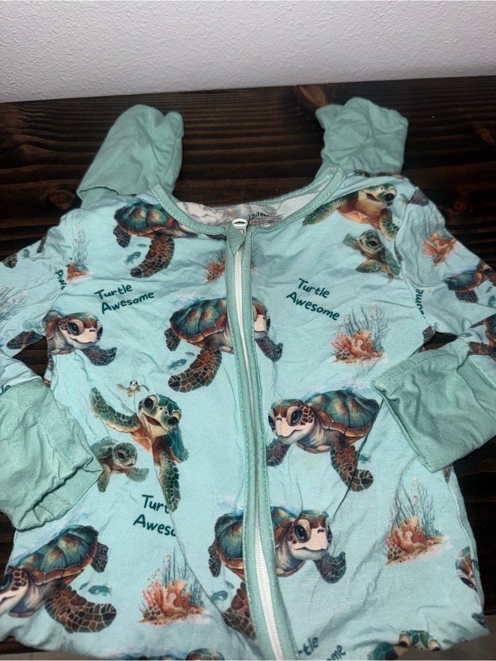 Bamboo Turtle Zip Footie Size 12/18 Month
